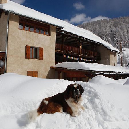 Le Chalet Viso Bed and Breakfast Arvieux Exterior foto