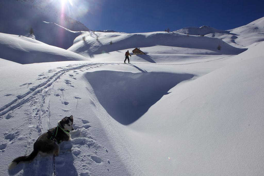 Le Chalet Viso Bed and Breakfast Arvieux Exterior foto