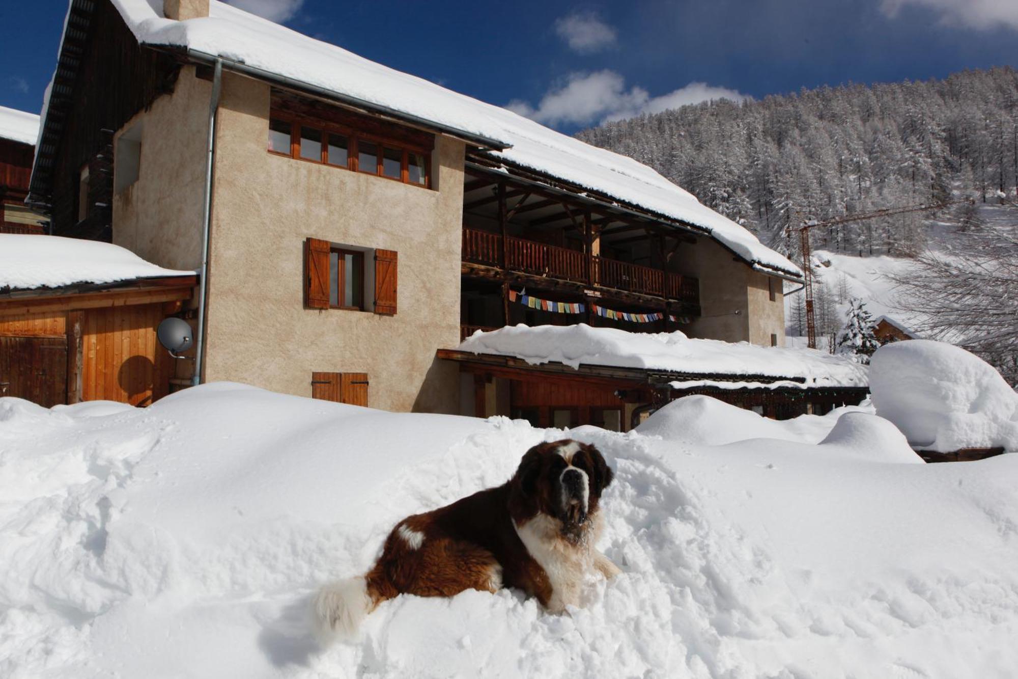 Le Chalet Viso Arvieux Exterior foto
